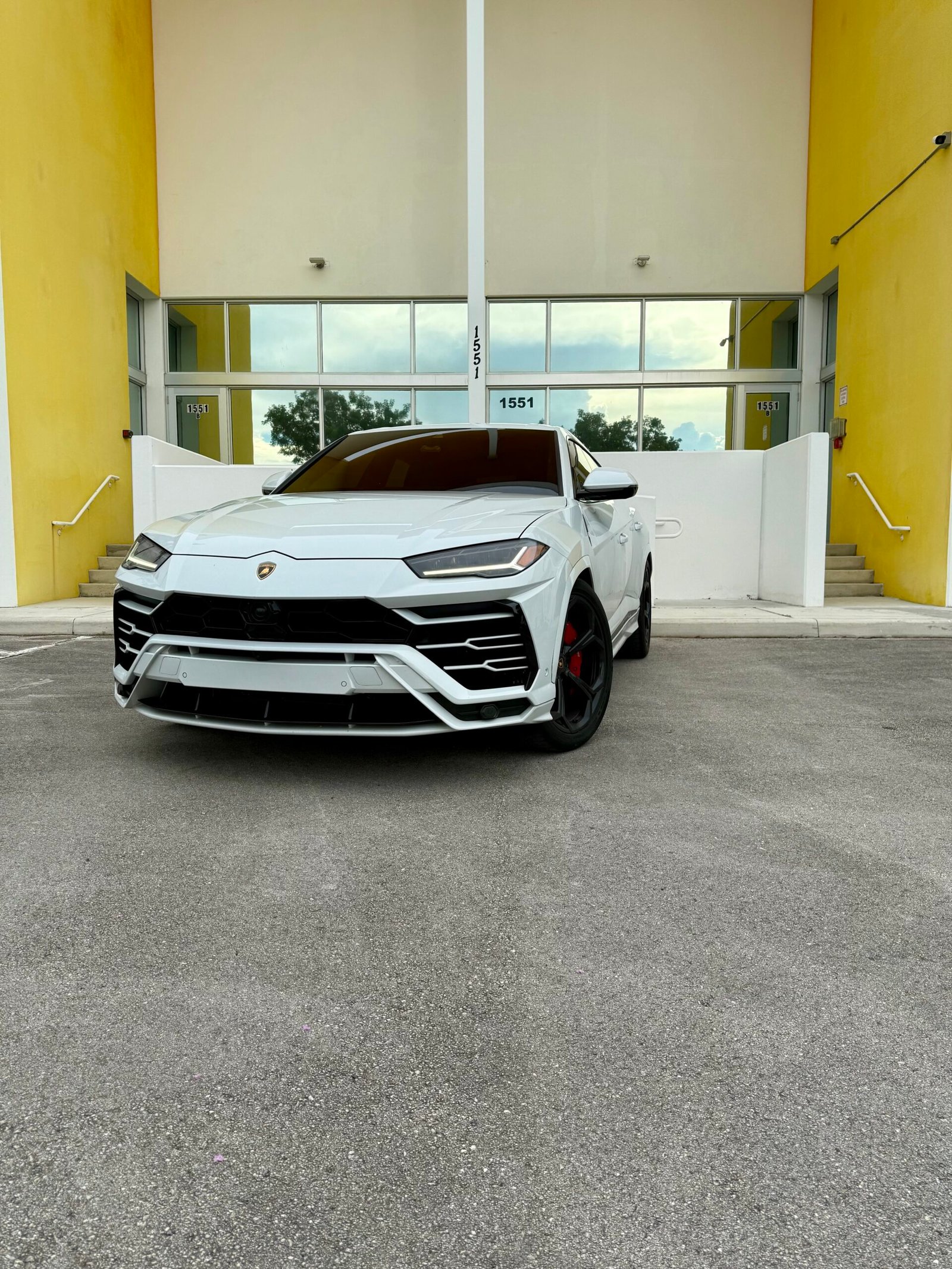 Urus (White Panda)