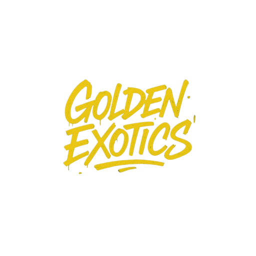 Golden Exotic Car Rental Miami logo